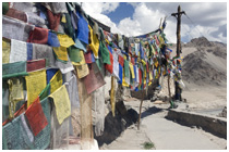 Ladakh I Gallery
